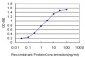 TXN Antibody (monoclonal) (M01)