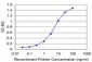 TXN Antibody (monoclonal) (M04)