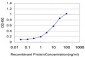 UBE2D1 Antibody (monoclonal) (M01)