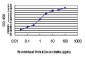 UBE3A Antibody (monoclonal) (M01)