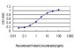 UBTF Antibody (monoclonal) (M01)