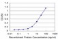 UBTF Antibody (monoclonal) (M03)