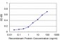 UBTF Antibody (monoclonal) (M04)