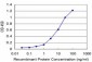 UHRF1 Antibody (monoclonal) (M02)