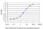 ULK2 Antibody (monoclonal) (M01)