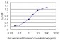 ULK2 Antibody (monoclonal) (M10)