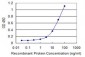 UNC13D Antibody (monoclonal) (M05)