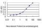 USF1 Antibody (monoclonal) (M01)