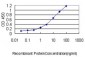 USF1 Antibody (monoclonal) (M01)