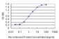 USF1 Antibody (monoclonal) (M02)