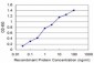 USF2 Antibody (monoclonal) (M03)