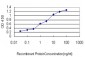 USP14 Antibody (monoclonal) (M04)