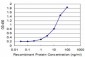 USP14 Antibody (monoclonal) (M08)