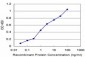 VAMP1 Antibody (monoclonal) (M01)