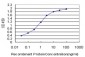 VAMP1 Antibody (monoclonal) (M02)