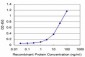 VAV1 Antibody (monoclonal) (M04)