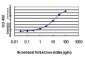 VHL Antibody (monoclonal) (M01)