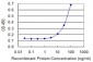 VIL2 Antibody (monoclonal) (M04)