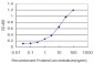 VNN1 Antibody (monoclonal) (M05)