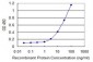 VNN1 Antibody (monoclonal) (M08)