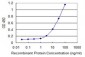 VNN1 Antibody (monoclonal) (M08)