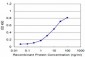 WASF2 Antibody (monoclonal) (M01)