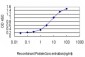 WASF2 Antibody (monoclonal) (M02)