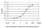 WDR5 Antibody (monoclonal) (M01)