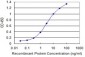 WIPI1 Antibody (monoclonal) (M02)