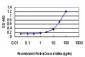 XPO5 Antibody (monoclonal) (M01)