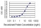 XRCC5 Antibody (monoclonal) (M02)