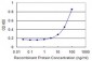 XRCC6 Antibody (monoclonal) (M05)