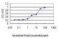 YWHAG Antibody (monoclonal) (M02)