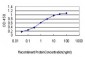 YY1 Antibody (monoclonal) (M02)