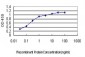 YY1 Antibody (monoclonal) (M04)