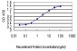 YY1 Antibody (monoclonal) (M05)