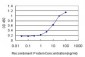 ZBTB16 Antibody (monoclonal) (M01)