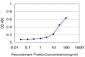 ZFP36L1 Antibody (monoclonal) (M02)