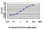 ZIC4 Antibody (monoclonal) (M01)