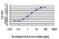 ZIC4 Antibody (monoclonal) (M06)