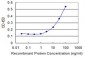 ZNF18 Antibody (monoclonal) (M01)