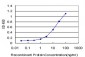 ZNF24 Antibody (monoclonal) (M02)