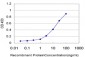 ZNF24 Antibody (monoclonal) (M03)