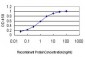 ZWINT Antibody (monoclonal) (M01)