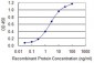 ZWINT Antibody (monoclonal) (M04)