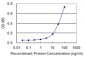 ZYX Antibody (monoclonal) (M01)