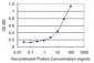 ZYX Antibody (monoclonal) (M02)