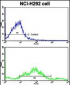 CDH3 Antibody (N-term)