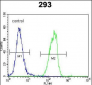 SOX2 Antibody (Center)