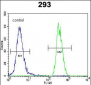 SOX2 Antibody (C265)